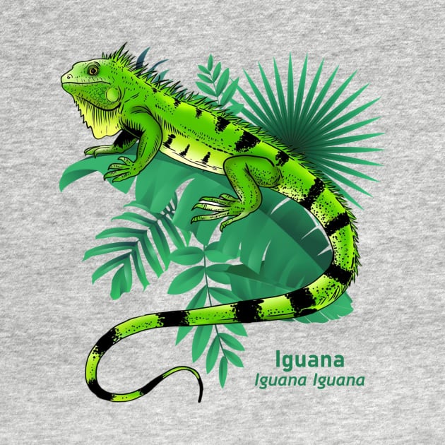 Iguana by PJcriativo